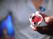 This is how an erection is produced â€“ Clear medical explanation