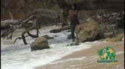 Caribbean public sex full flavor