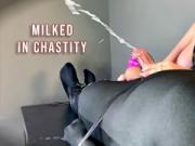 Huge Cum Load Milked From Chastity Sub's Caged Cock