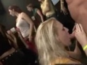 Drunk Babes Suck At Party 