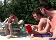 Amazing foursome by the pool