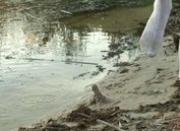 18yo Loly fingering on the beach