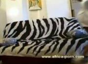 Ebony Chanys fucked by big white dick in porn casting