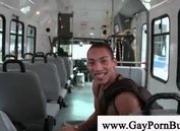 Black gay sucks a white dick at a bus