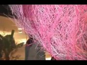 Erotic Asian Wildest Fantasies