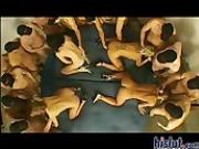 These girls got together for cock orgy