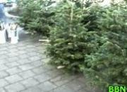 Pretty girl gets fucked doggystyle