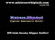 Mistress Whiplash - Sneaky Slipper Sniffer