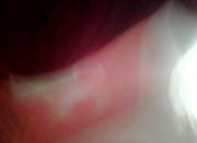 Ebony blowjob pluss hidecam