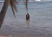 Black Angelika Ass fucked on Beach