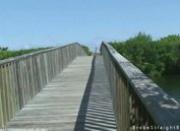 Sexy muscular gay in outdoor