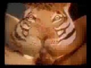 FUNNY PORN - How To Feed A Tiger