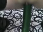 Fruits and vegetables make good toys - Acheron