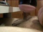 Huge cock pummeling Fleshlight