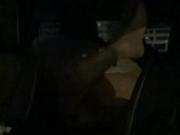 Caught fucking in their car