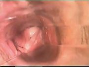 inside vagina