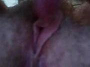 tasty pussy lips