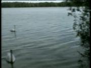 Young couple expirement by the lake