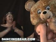 DANCING BEAR - This Was Our Greatest Party Yet! The Bitches Went Wild HAHA