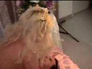 Anna nicole gets freaky