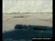 Back Ally Public Fucking