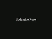 Seductive Rose