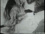 Movies from the archives 9