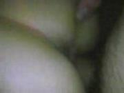 pecorina show