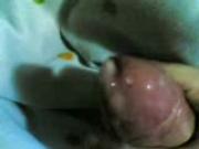 milk milk