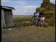 Farm maiden blows his haystack