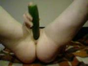 DS Series Cucumber Part1