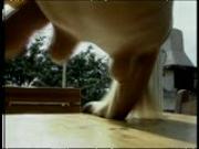 Floating and fucking on a hot summer day Pt 4/4