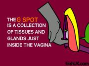 Female G Spot, Prostate and Ejaculation Explained