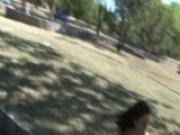 Horny mature brunette shows off her body in public park