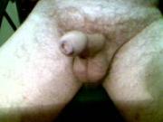 cock
