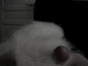handjob in mohair