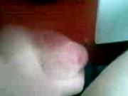 cock