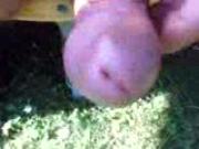 Abspritzen im Garten