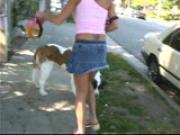 Dog walker is a hot flasher
