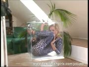 Flexi Sandy crawling in glasbox