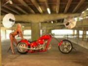 Harley ad