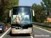 Horny bus ride