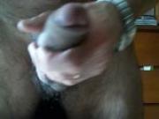 PAJA GAY
