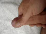 Austrian Gay Cock