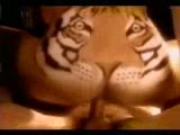 Tiger eating