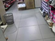 Chick in stockings trying on shoes