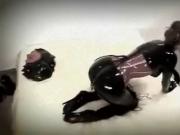 stunner modelling black latex