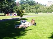 Dublin Park Panties