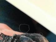 cumming through her dirty gusset