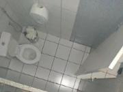 piss